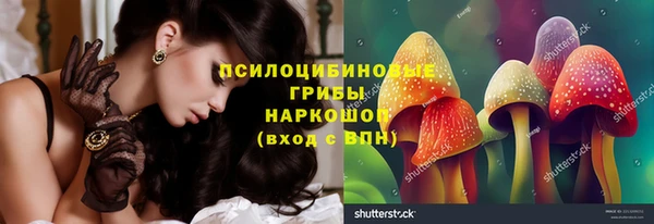 крисы Баксан
