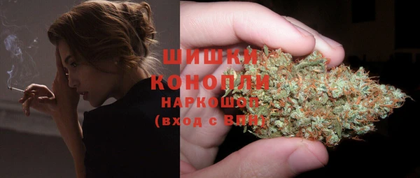 крисы Баксан
