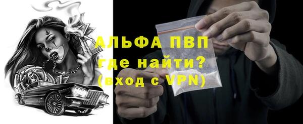 крисы Баксан