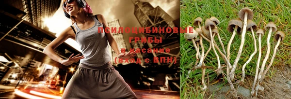 круглые Алзамай