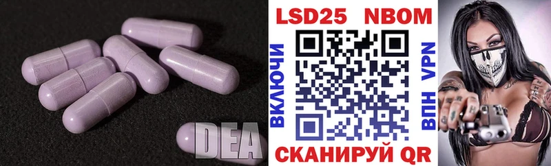 где найти   Сосновка  omg вход  Лсд 25 экстази кислота 